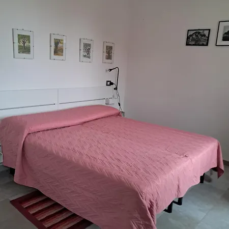 Pedro Дом отдыха